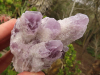 Natural Sugar Amethyst Clusters  x 6 From Solwezi, Zambia - Toprock Gemstones and Minerals 