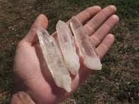 Natural Single Optic to Semi Optic Quartz Crystals  x 48 From Madagascar - TopRock