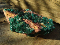 Natural Extra Large Emerald Dioptase Specimen  x 1 From Likasi, Congo - Toprock Gemstones and Minerals 