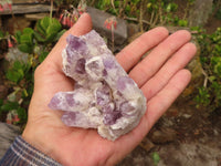 Natural Sugar Amethyst Clusters  x 6 From Solwezi, Zambia - Toprock Gemstones and Minerals 