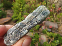 Natural Single Blue Kyanite Crystals  x 30 From Karoi, Zimbabwe