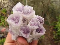 Natural Sugar Amethyst Clusters  x 6 From Solwezi, Zambia - Toprock Gemstones and Minerals 