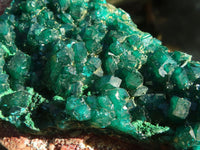 Natural Extra Large Emerald Dioptase Specimen  x 1 From Likasi, Congo - Toprock Gemstones and Minerals 