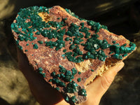 Natural Extra Large Emerald Dioptase Specimen  x 1 From Likasi, Congo - Toprock Gemstones and Minerals 