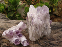 Natural Sugar Amethyst Clusters  x 6 From Solwezi, Zambia - Toprock Gemstones and Minerals 