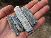 Natural Single Blue Kyanite Crystals  x 30 From Karoi, Zimbabwe