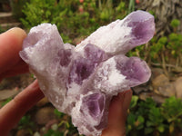 Natural Sugar Amethyst Clusters  x 6 From Solwezi, Zambia - Toprock Gemstones and Minerals 