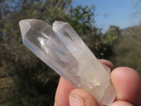 Natural Single Optic to Semi Optic Quartz Crystals  x 48 From Madagascar - TopRock