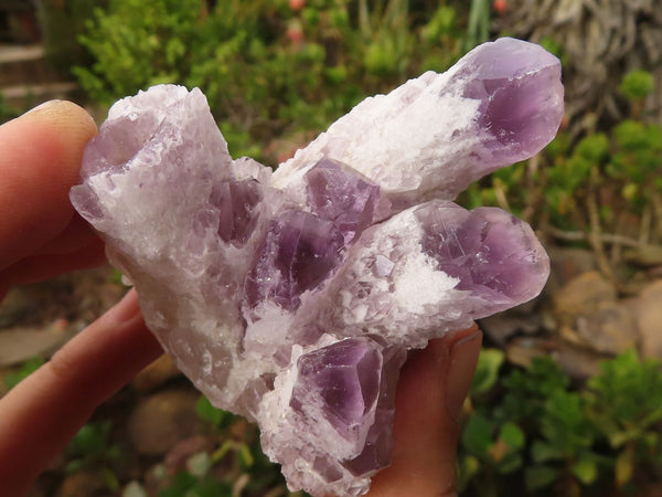 Natural Sugar Amethyst Clusters  x 6 From Solwezi, Zambia - Toprock Gemstones and Minerals 