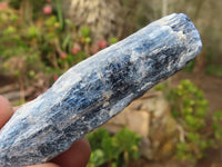 Natural Single Blue Kyanite Crystals  x 30 From Karoi, Zimbabwe