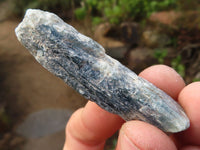 Natural Single Blue Kyanite Crystals  x 30 From Karoi, Zimbabwe