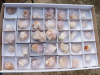 Natural White & Lilac Cactus Flower Spirit Quartz Specimens x 35 From Boekenhouthoek, South Africa