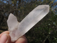 Natural Single Optic to Semi Optic Quartz Crystals  x 48 From Madagascar - TopRock