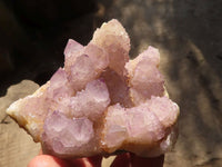 Natural Spirit Amethyst Quartz Clusters x 13 From Boekenhouthoek, South Africa