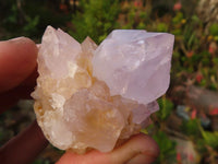 Natural White & Lilac Cactus Flower Spirit Quartz Specimens x 35 From Boekenhouthoek, South Africa