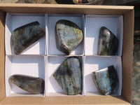 Polished Labradorite Standing Free Forms  x 6 From Tulear, Madagascar