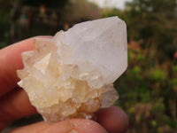 Natural White & Lilac Cactus Flower Spirit Quartz Specimens x 35 From Boekenhouthoek, South Africa