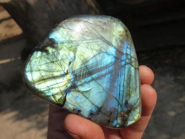 Polished Labradorite Standing Free Forms  x 6 From Tulear, Madagascar