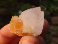 Natural White & Lilac Cactus Flower Spirit Quartz Specimens x 35 From Boekenhouthoek, South Africa