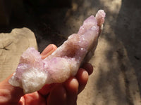 Natural Spirit Amethyst Quartz Clusters x 13 From Boekenhouthoek, South Africa