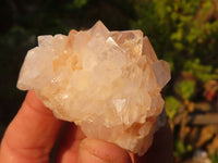 Natural White & Lilac Cactus Flower Spirit Quartz Specimens x 35 From Boekenhouthoek, South Africa