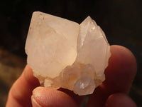 Natural White & Lilac Cactus Flower Spirit Quartz Specimens x 35 From Boekenhouthoek, South Africa