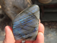 Polished Labradorite Standing Free Forms  x 6 From Tulear, Madagascar