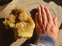 Natural Golden Limonite / Lemonite Quartz Clusters  x 5 From Zambia - Toprock Gemstones and Minerals 