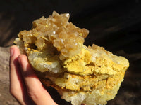 Natural Golden Limonite / Lemonite Quartz Clusters  x 5 From Zambia - Toprock Gemstones and Minerals 