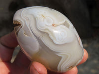 Polished Mixed Agate Standing Free Forms x 6 From Madagascar