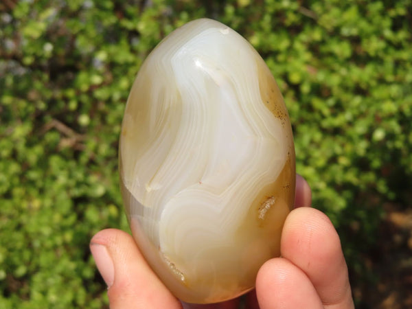 Polished Agate Standing Free Forms  x 6 From Madagascar