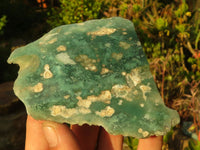 Polished  One Side Polished Emerald Mtorolite Plates  x 6 From Zimbabwe