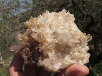 Natural Mixed Selection Of Quartz Clusters x 6 From Mandrosonoro, Madagascar - TopRock