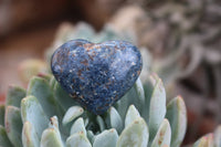 Polished XX Rare Dumortierite Hearts - sold per 12 pc Lot - From Madagascar - TopRock