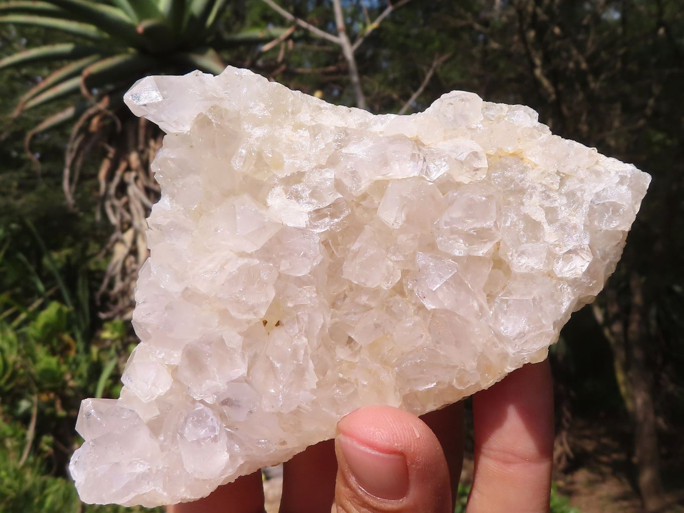 Pale popular amethyst and clear quartz micro crystal plate