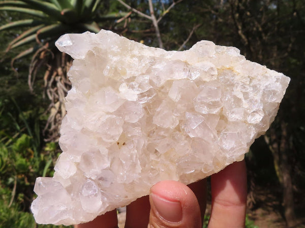 Natural Clear Quartz Crystal Plates  x 12 From Mpika, Zambia - Toprock Gemstones and Minerals 