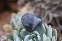 Polished XX Rare Dumortierite Hearts - sold per 12 pc Lot - From Madagascar - TopRock