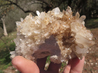 Natural Mixed Selection Of Quartz Clusters x 6 From Mandrosonoro, Madagascar - TopRock