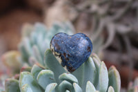 Polished XX Rare Dumortierite Hearts - sold per 12 pc Lot - From Madagascar - TopRock