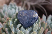 Polished XX Rare Dumortierite Hearts - sold per 12 pc Lot - From Madagascar - TopRock