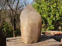 Polished Large Cascading Smokey Quartz Crystal x 1 From Angola