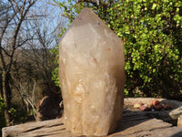 Polished Large Cascading Smokey Quartz Crystal x 1 From Angola