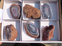 Polished River Agate Nodules  x 6 From Sashe River, Zimbabwe