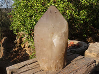 Polished Large Cascading Smokey Quartz Crystal x 1 From Angola