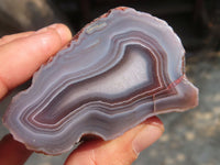 Polished River Agate Nodules  x 6 From Sashe River, Zimbabwe