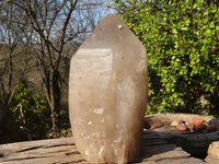 Polished Large Cascading Smokey Quartz Crystal x 1 From Angola