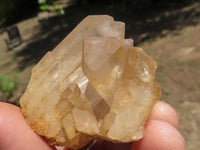 Natural Small Mixed Quartz Clusters  x 46 From Madagascar - TopRock