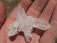 Natural Small Mixed Quartz Clusters  x 46 From Madagascar - TopRock