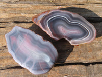 Polished River Agate Nodules  x 6 From Sashe River, Zimbabwe