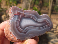 Polished River Agate Nodules  x 6 From Sashe River, Zimbabwe